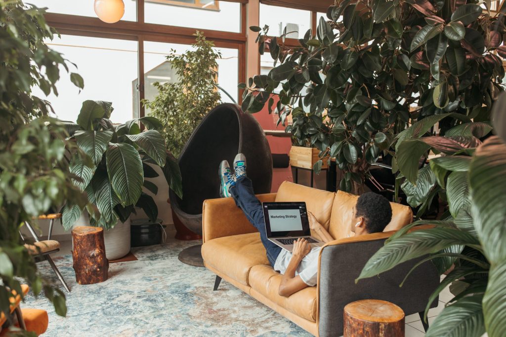 Plantas para oficina: energía y frescura en el trabajo